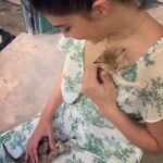 Jacqueline Fernandez Instagram - Team Sri Lanka Wildlife Sanctuary!! So inspired by the work you do!!! Extremely proud of our first Surgery Unit by @merlingreenmagichomes @wingmanindia @supersonex @orangeelectric @wildlife_rescue_srilanka