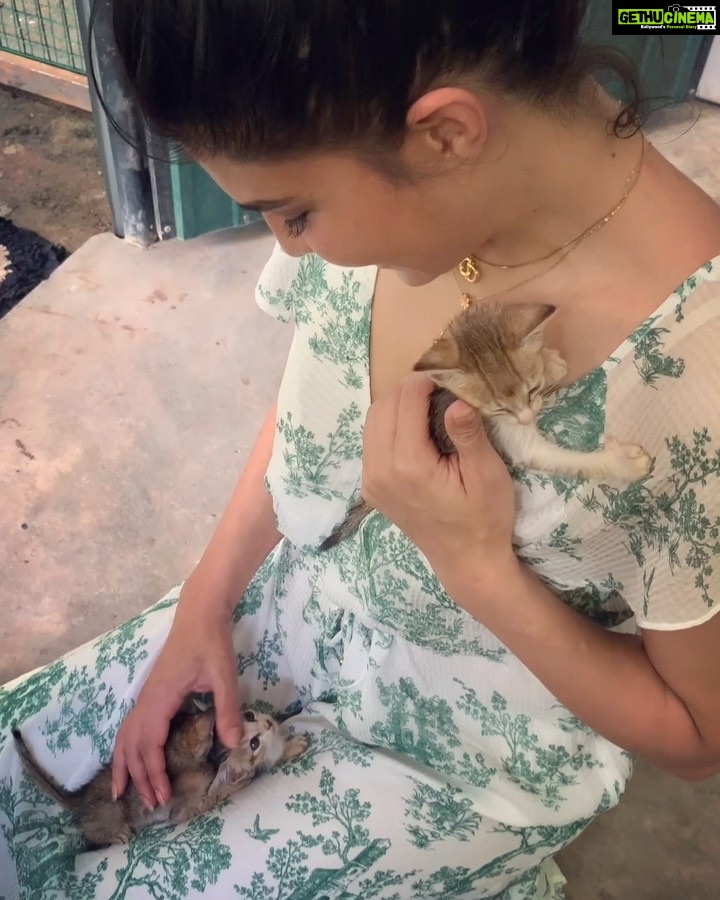 Jacqueline Fernandez Instagram - Team Sri Lanka Wildlife Sanctuary!! So inspired by the work you do!!! Extremely proud of our first Surgery Unit by @merlingreenmagichomes @wingmanindia @supersonex @orangeelectric @wildlife_rescue_srilanka