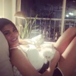 Jacqueline Fernandez Instagram - Goodnight my cuddle monsters #loki #xyza #marshmallow💞twins