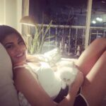 Jacqueline Fernandez Instagram – Goodnight my cuddle monsters #loki #xyza #marshmallow💞twins