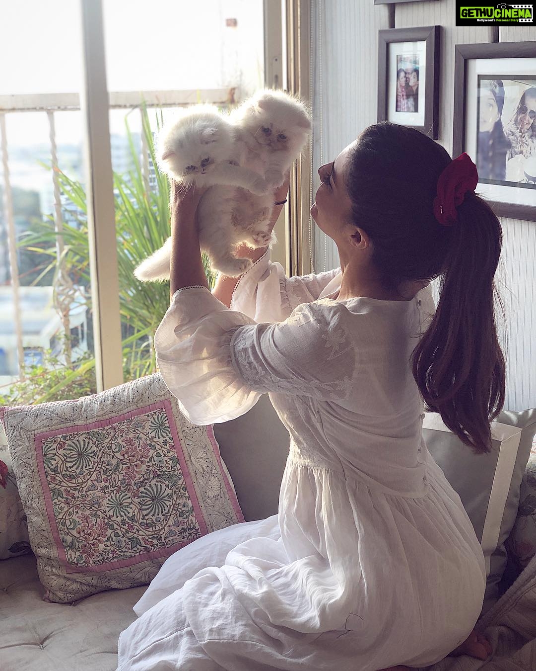 Jacqueline Fernandez Instagram - Literally my heart is bursting!!! Meet Loki and his sister Xyza!! Miumiu and Yodaβs little twins!! ππ¦πΈπ