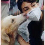 Jacqueline Fernandez Instagram – Animal shelter day with team @jf.yolofoundation at @wsdindia @thefelinefoundation 🌸🌸🌸 NEW VLOG OUT NOW