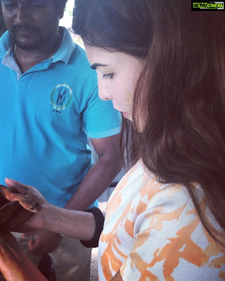 Jacqueline Fernandez Instagram - The Atthidiya Sanctuary, a wildlife rescue and rehabilitation centre in Sri Lanka.. every bit of help counts.. 🐵🦁🐰🐯🐗🐴