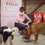 Jacqueline Fernandez Instagram - Big shout out and thank you to @droolsindia for donating food and joining me and my team @jf.yolofoundation to feed thousands of stray animals around the country. Team @jf.yolofoundation and myself have been actively volunteering at animal shelters around Mumbai to understand the plight of strays animals everywhere and it has truly been heart breaking.. I want to thank and appreciate all those who come forth and work towards making a difference to their lives 🙏🏻🙏🏻🙏🏻 #bekind @thefelinefoundation @wsdindia