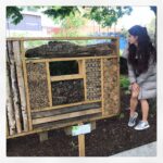 Jacqueline Fernandez Instagram - The insect hotel 🐝🐛🐞🐜#london #natureporn