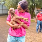 Jasmin Bhasin Instagram - I did try to run away with this lil cutie, but they caught on to me 🙄🥺 #AnimalLover #BabyGoat #Kid