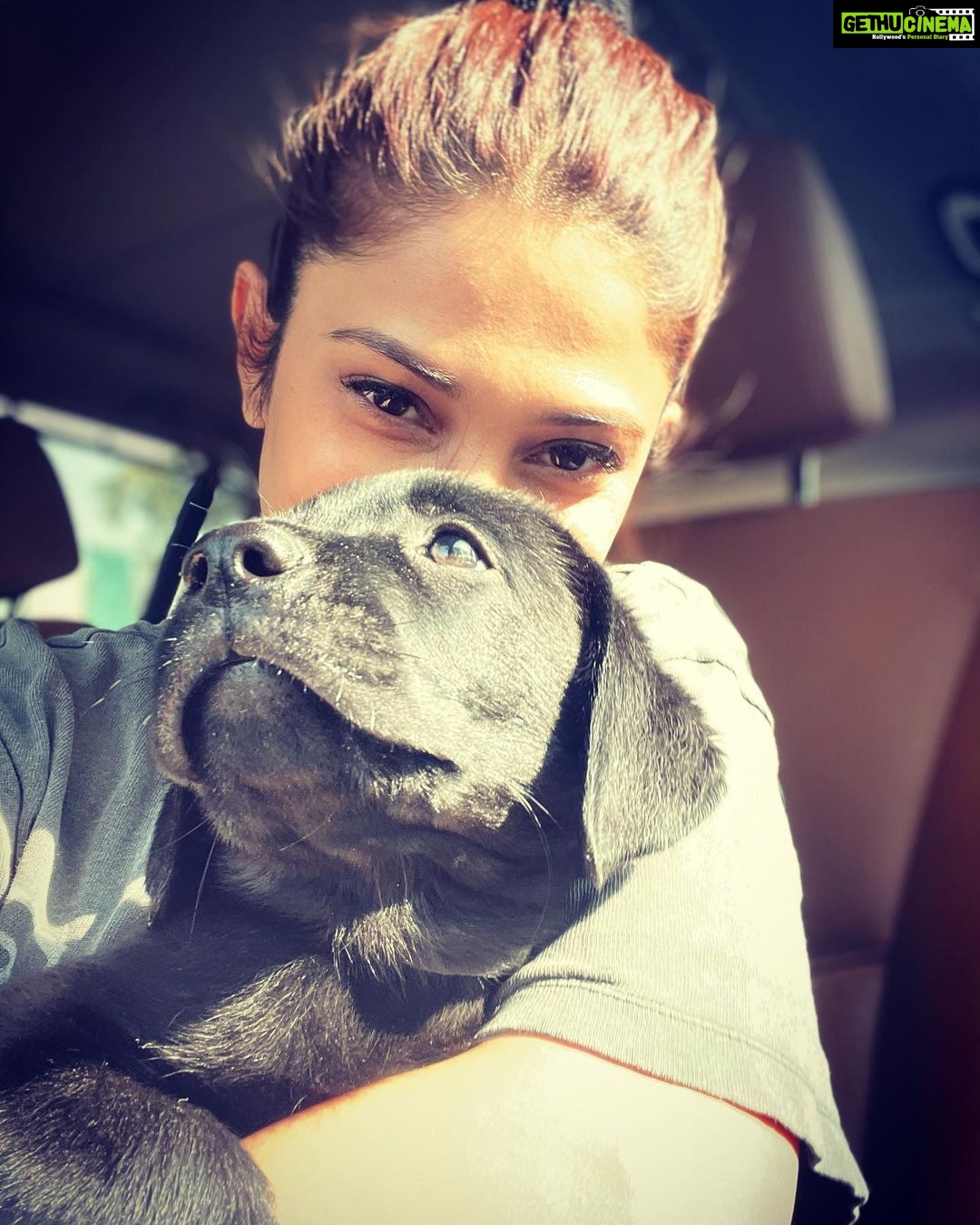 Jennifer Winget Instagram - Welcome to the Paw-mily my little Luke! So happy you chose us. Thank @tanujvirwani @virwanianil for this precious little bundle of joy. He is lil cuddly mushy ball of cute! Breezer, Luke and Sean will indeed be the three Musketeers of my life. 🧿 🐾