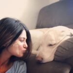 Jennifer Winget Instagram - All the colour I need this Holi, in my life! Consider this an appeal to #SpareTheStray and keep colours off our animal friends. Let us all stand strong and responsible today to celebrate holi with the happiness of every human and animal alike. #livelifeincolour #happyholi