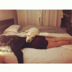 Jennifer Winget Instagram - I’ll begin by counting the biggest blessing by my side at home and this year even more on sets - My Breezer! From pawprints, to scratch marks and slobbery kisses, from wet noses to wagging tails, no room on my bed and fur on my everything. This mischief has been a miracle in disguise is really one that rounds up my family. #MyHero