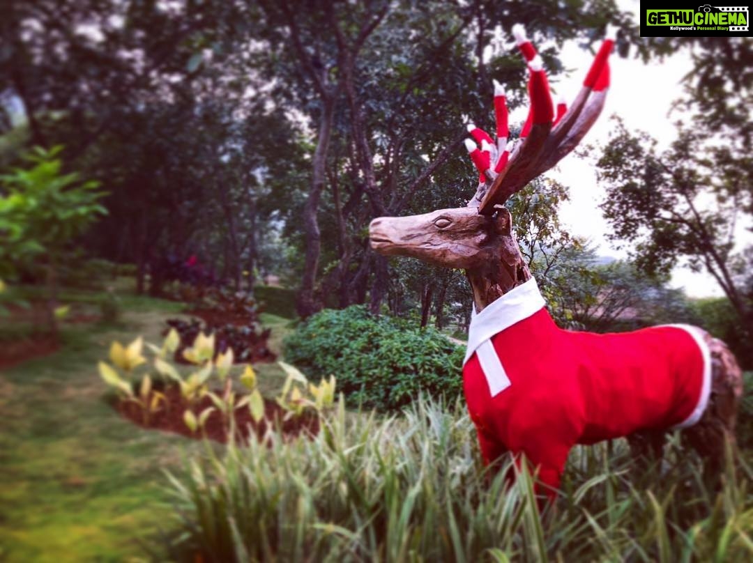Jennifer Winget Instagram - Oh Hello-Ho-Ho-Ho, December!