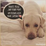 Jennifer Winget Instagram - Breezer's got something to say to you... Dont forget to donate for the #amtmgaragesale Details on @amtmindia