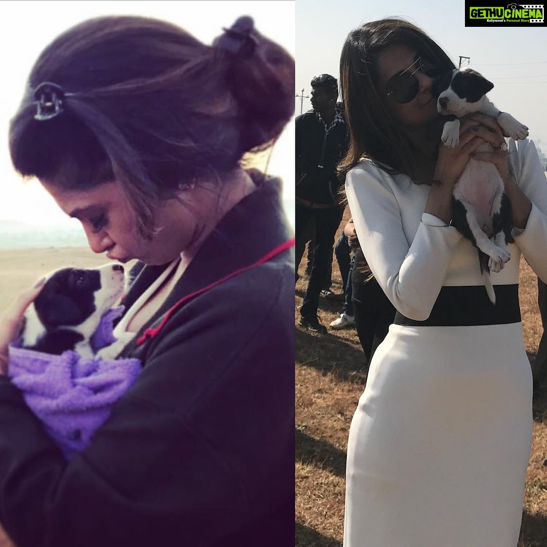 Jennifer Winget Instagram - Love at first sight - always and everytime! #puppylove #lonavlaloving #onlocation #sotemptedtobringhimhome