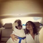 Jennifer Winget Instagram – My doggy handsomest – we love to pose dont we, Breezer?😁🐶