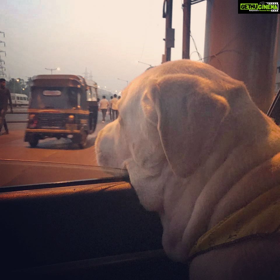 Jennifer Winget Instagram - Taking in the day that was ... A super relaxing spa while he was waiting for mommy to wrap up! #Breezer