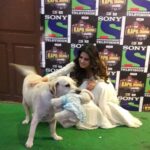 Jennifer Winget Instagram – My furry friends manage to find me everywhere 🤗🤗🐾🐾#zanju#kapilsharmashow#aboutlastnight