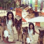 Jennifer Winget Instagram - All mine!!! Wish I could take them both home. My co stars for today. Love! Love! ❤️🐾🐾#Beyhadh#imissbreezer#❤️dogs