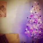 Jennifer Winget Instagram - O Christmas tree! O Christmas tree! Gives me the greatest glee😁😁😁 #whitechristmastree #christmastime #lovethistimeofyear🎄