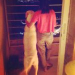 Jennifer Winget Instagram - Look mommy , I'm as tall as you!!!!😂😂😂#dogstargram #loveofmylife ❤️❤️
