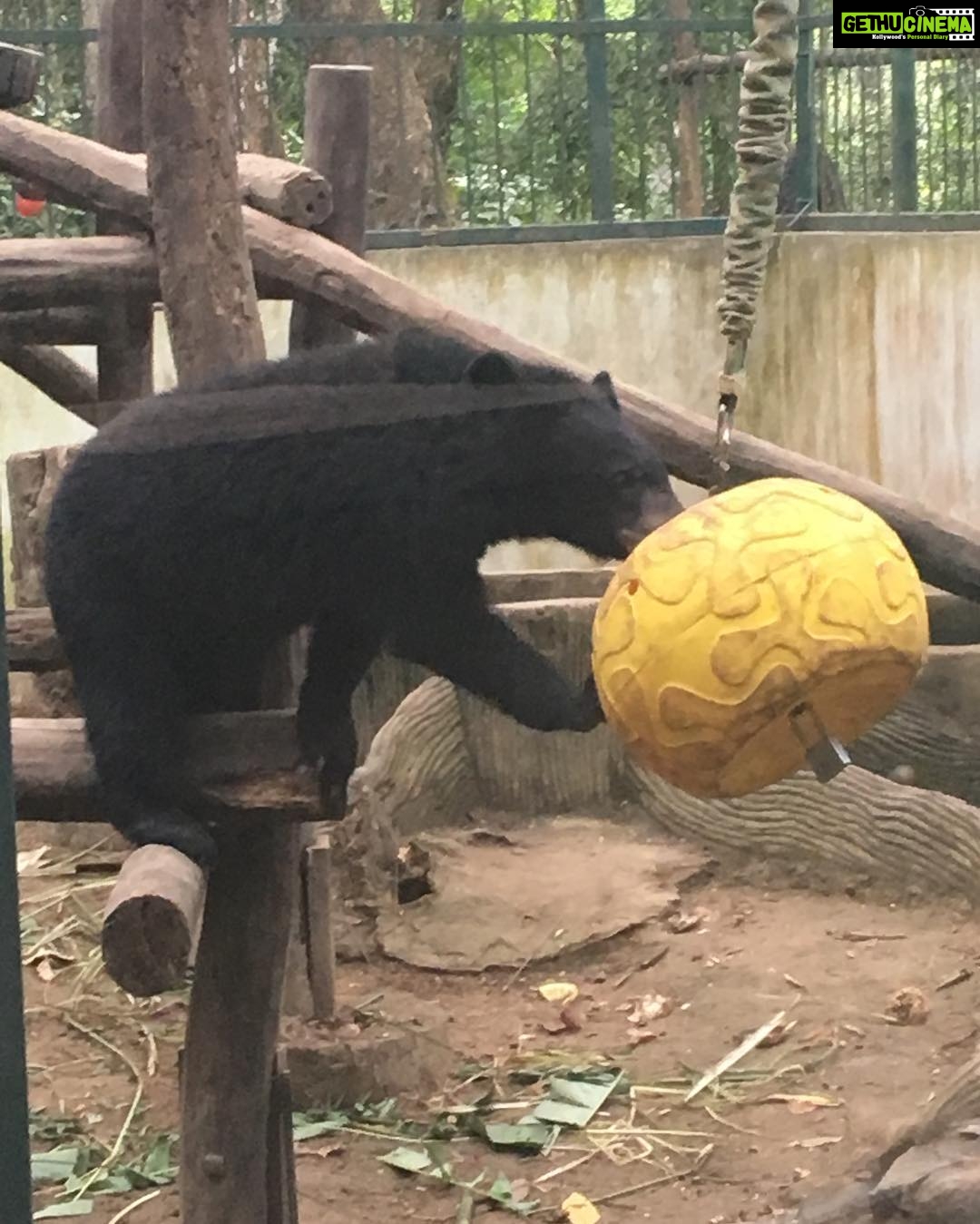 Kajal Aggarwal Instagram - And then we see this cute little cub 🐻#bearsanctuary #adventure