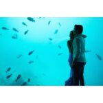 Kajal Aggarwal Instagram – Waking up to 🐠🐟🐡