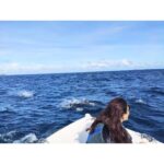 Kajal Aggarwal Instagram – Zoom in to see what made my soul truly happy! #chasingdolphins ! Witnessed schools of adorable ones playing gleefully besides our speed boat. #dolphinsaremyspiritanimal #imconvinced 😍🐬🐬 Marco, @reethifaruwatersports ensured we saw these magnificent creatures, up close even though the weather gods were not in the mood for favours 😋