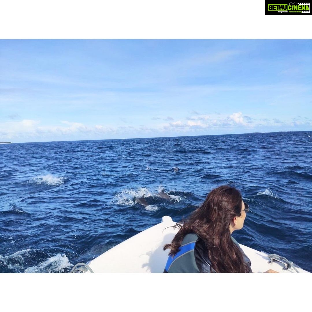 Kajal Aggarwal Instagram - Zoom in to see what made my soul truly happy! #chasingdolphins ! Witnessed schools of adorable ones playing gleefully besides our speed boat. #dolphinsaremyspiritanimal #imconvinced ππ¬π¬ Marco, @reethifaruwatersports ensured we saw these magnificent creatures, up close even though the weather gods were not in the mood for favours π