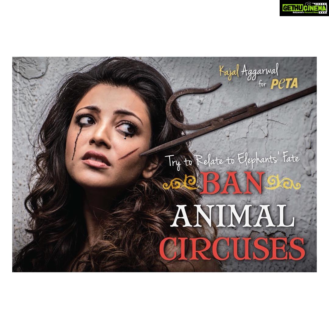 Kajal Aggarwal Instagram - I’m usually not one to follow any particular “days” but this one solicits support. #WorldElephantDay #peta #bananimalcircuses