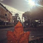 Kajal Aggarwal Instagram - Enjoying the last of autumn before the winters arrive #winteriscoming #autumnleaves 🍁 Saint-Raphaël, Provence-Alpes-Cote D'Azur, France