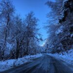 Kajol Instagram - When God gives you a winter wonderland, you Instagram it. Sofia, Bulgaria