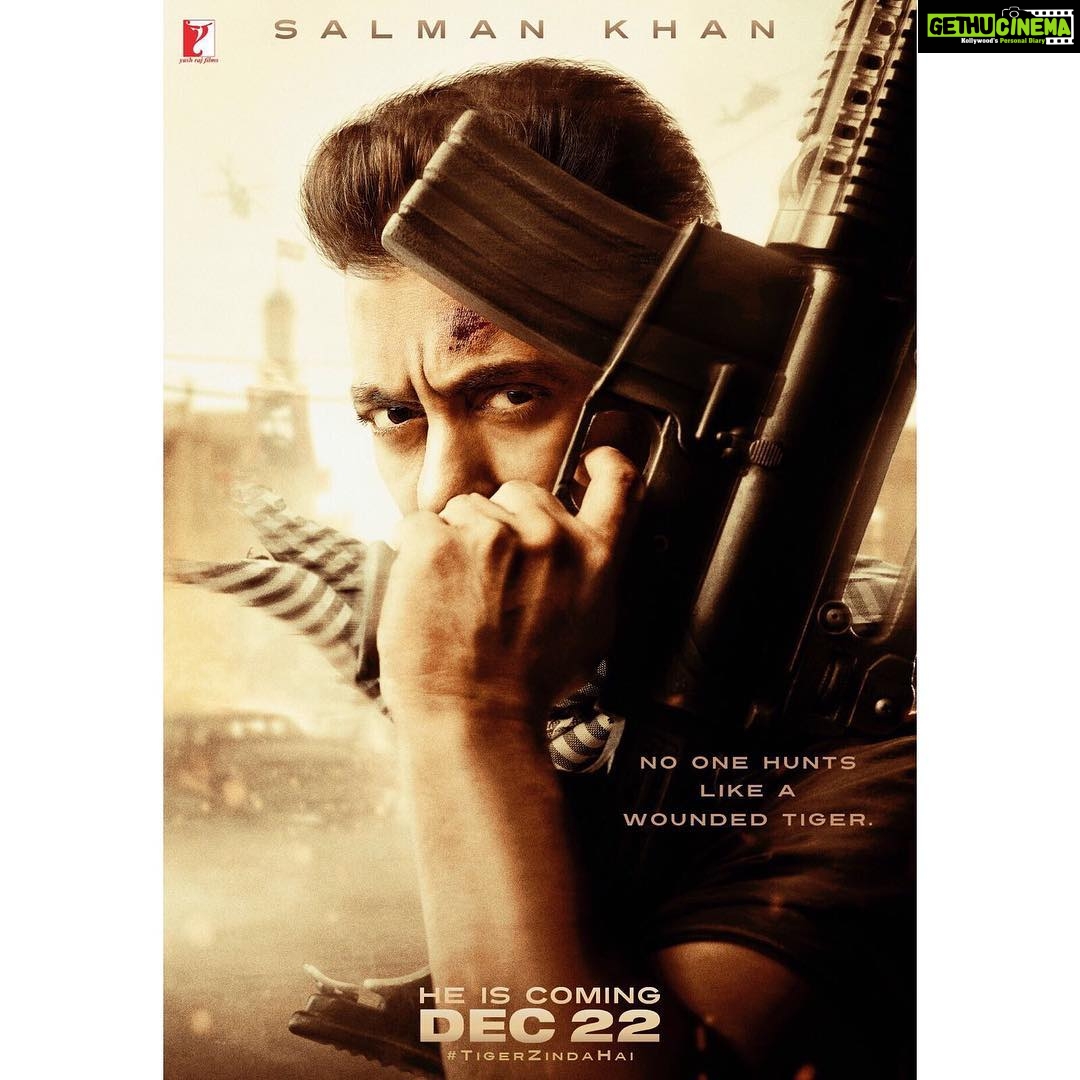 Katrina Kaif Instagram - Tiger zinda hai ...... he's here..... December 22 film arrives . @beingsalmankhan @aliabbaszafar