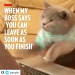 Katrina Kaif Instagram – #mondaymotivation ☺️#Repost @people ・・・
Duly noted.