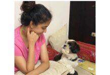 Keerthy Suresh Instagram - Happy pet’s day to my four-legged fam ❤️ 🐾 #NationalPetsDay