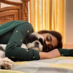 Keerthy Suresh Instagram - Best cuddle buddy for the December chills 🐶❤️ @iamnyke
