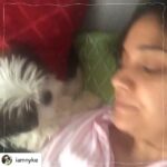 Keerthy Suresh Instagram - Missing the cuddles (and the bites 😜) See you soon my boy 🤗🥺 • @iamnyke Mommy made the mistake of mistaking my cute looks for innocence 😜 #NykeDiaries #IAmNyke #Throwback . . . #puppiesofinstagram #puppies #dogsofinstagram #dogstagram #shitzusofinstagram #shitzu #shitzulove