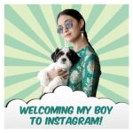 Keerthy Suresh Instagram - My boy is finally on Instagram!! ❤️ He’s here to calm your nerves & make you smile! 😇 Puppy kisses guaranteed this Diwali! 😘 @iamnyke #NykeDiaries #WelcomeNyke . . . #puppiesofinstagram #puppies #dogsofinstagram #dogstagram #shitzusofinstagram #shitzu #shitzulove