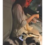 Keerthy Suresh Instagram - Today’s checklist ✅get festive ✅stay hydrated ✅be with my best companion #HappyVijayDashami #NykeDiaries . . . #vijaydashami #happydussehra #dusshera2020 #festiveseason #festivevibes #shitzu #shihtzusofinstagram #shihtzulovers #dogsofinstagram