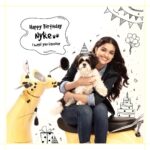 Keerthy Suresh Instagram - This one’s a long note, but surely one that every dog lover could relate to! It’s been 2 long years since this little boy stepped into our family... I will always remember the times I felt too emotional to leave you and head to work just like today, that’s how much of a game changer you could instantly become to someone’s life. That’s the kind of difference you’ve made. One thing that’ll remain special for me, our family and all of our friends is the fact that you’ve been that blessing that changed everything for both people who were scared of puppies and those who loved to just look at puppies but were afraid to touch them. Then came you and changed almost about everything! Through the lockdown, I’ve heard multiple people go ‘ We miss you Keerthy, but we miss Nyke a little more! ‘ 😋 which only goes on to say how much people can’t stop loving you and how you’re family to not just me but everyone you’ve graced with your existence. Needless to say, everytime I’ve been down, been low, you wouldn’t believe how you’ve made me feel when you’ve come licked my face like ‘ Hey, it’s alright, i got your back mommy! ‘. 🤗 I cant think of anything that makes me feel better than just YOU! You came in as a surprise and continue to surprise every single one of us with the bundle of joy and happiness that you bring to us! You’re a charmer, my squishy and can even be apologetic and express so vividly! You could almost at once de-stress a room of its negativity and HOW! I’ve had the toughest times saying a simple bye before I head to work and everytime you jumped into the car even when you weren’t coming! It’s a joy to watch you fall flat for a belly rub with almost about anyone you meet! That just goes on to show the company you could be to every soul that there is. From your mother... to you, Happy Birthday Nyke baby! I love you to the moon and back and I miss you on this special day! 🐶❤️😘 Also, on a lighter note, there’s something big coming up guys, stay tuned, for you shall know soon enough! 😉 #HappyBirthdayNyke #NykeDiaries . . . #puppiesofinstagram #puppies #dogsofinstagram #dogstagram #shitzusofinstagram #shitzu #shitzulove
