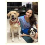 Keerthy Suresh Instagram - Happy International Dog Day! Wishing every dog and dog parents! ❤️🤗 #Aju #NykeDiaries #InternationalDogDay . . . #dogsofinstagram #instadaily #instagood #doglovers #dogstagram #shihtzusofinstagram #labsofinstagram #instadog