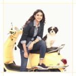 Keerthy Suresh Instagram – When my boy ran into my photoshoot and stole my thunder 🐶 ❤️

#NykeDiaries #BowWow
.
.
#puppiesofinstagram #puppies #dogsofinstagram #dogstagram #shitzusofinstagram #shitzu #shitzulove #throwbacksaturday #VKCBTS