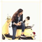 Keerthy Suresh Instagram - Nyke says - “Mommy enough shooting! Let’s go for a ride”. 🛵 #NykeDiaries #BowWow . . #puppiesofinstagram #puppies #dogsofinstagram #dogstagram #shitzusofinstagram #shitzu #shitzulove #throwbacksaturday #VKCBTS