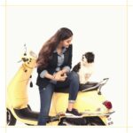 Keerthy Suresh Instagram – Nyke says – “Mommy enough shooting! Let’s go for a ride”. 🛵 
#NykeDiaries #BowWow
.
.
#puppiesofinstagram #puppies #dogsofinstagram #dogstagram #shitzusofinstagram #shitzu #shitzulove #throwbacksaturday #VKCBTS