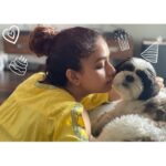 Keerthy Suresh Instagram - My baby boy just turned 3! They say a dog is the only thing that loves you more than himself, and after having you in my life for 3 years now I don’t think I could’ve agreed more. Your little heart has more love to hold than I could ever imagine and it’s so warm that no matter who comes, they fall under your charm! ❤️ It’s so surprising that 3 years have passed by since you were born Nyku, but to me you’re still the little puppy that I first saw and for me you will always be that little puppy. 🤗 The joy that you fill me up with on my best or darkest days is unimaginable. It’s so surprising that without words you manage to show me more love than I could’ve ever imagined. I love you loads dear Nyke, wishing you a very very Happy Birthday! I promise to shower your year with treats and lot of cuddles 🥳 PS - Swipe till the end for a little “Spot Nyke” challenge 😜 #HappyBirthdayNyke #NykeDiaries #KAndNyke