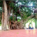 Krisha Kurup Instagram - Today is a beautiful day . . #yoga #bliss Ramoji Film City