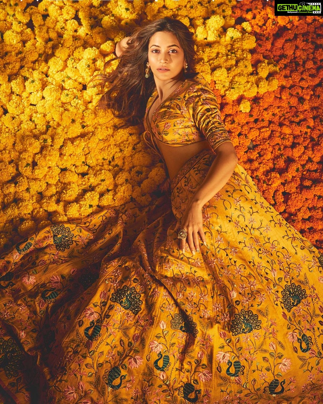 Kriti Kharbanda Instagram - Magazine: @weddingvows.in WV CEO: @itsme_daksh Produced by: @maximus_collabs_ Stylist: @shnoy09 Photographer: @sheldon.santos Make-up: @hinaldattani Hair: @the.mad.hair.scientist Outfit: @leffetbysanjevmarwaaha Jewellery: @mayasanghavijewels Art: @iammanisha11 @shnoy09 Location: @maximusstudiomumbai Decor: @oyster_studio Managed by: @rounddclockentertainment Team WV: @nadiiaamalik