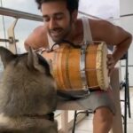 Kriti Kharbanda Instagram - The cutest thing you’ll see on the Internet today! These two 😍😍😍 @drogohusky @pulkitsamrat ❤️ #taishbuster (mine) ❤️ @dr.devanshidesai you’re the best teacher! ❤️ #Repost @pulkitsamrat with @make_repost ・・・ Jugalabandi with @drogohusky MY biggest #TaishBuster !! 🤩 🐶 Announcing winners soon! Till then keep sending all your love for #Taish , Out Now on @zee5premium ! @bejoynambiar @kriti.kharbanda @iamsanjeeda @zoamorani @saloni_batra_ @jimsarbhforreal @harshvardhanrane @virafpp @saurabhsachdeva77 @armaankhera @harshviro @ankurratheeofficial @easemytrip @nishantpitti @shivanshuhere @sohamrockstrent