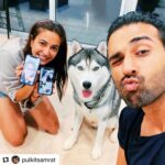 Kriti Kharbanda Instagram – #Repost @pulkitsamrat with @make_repost
・・・
Happy Birthday 2020 my little Drogo!! @drogohusky #drogostagram 🐶💕 @kriti.kharbanda @dr.devanshidesai @deepasamrat @arpittajerath @meenalpaliwal16 @nagpalvaibhav @ullassamrat