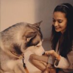 Kriti Kharbanda Instagram - He da cutest! He da handsomest! He da bestest! He da birthday boyyyyy @drogohusky ❤️ Our precious one turns 4! ❤️ @pulkitsamrat #pawsome #pawmama #birthdayboy #unconditionallove