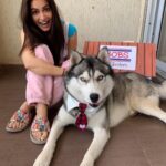 Kriti Kharbanda Instagram – The road to my heart is paved with PAW Prints 🐾

Me and My Fur-Kid is in love with the BOBS collection by @skechersindia .

Check out these super adorable dog printed shoes from @skechersindia 
Unconditional Love!

#skechersbobs