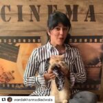 Kriti Sanon Instagram - Awwwww!! Sooooo cute bhabsss!! Love ya toooo!😘❤️❤️🤗 #Repost @wardakhannadiadwala ・・・ #posterlagwado Look @kritisanon even my kitten is enjoying your song 😂💃💃💃 love the trackkkkk @kylieandginger