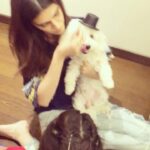 Kriti Sanon Instagram - One more.. hahaha.. he has no idea whats happening, why is everyone feeding him such yummy stuff suddenly? 😂 #DiscoKaHappyBirthday 🐶❤️